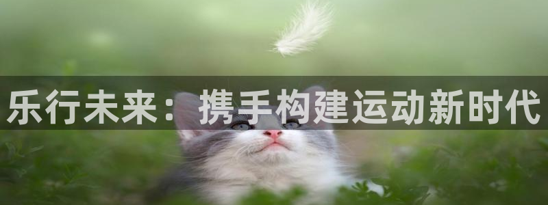 乐行未来：携手构建运动新时代