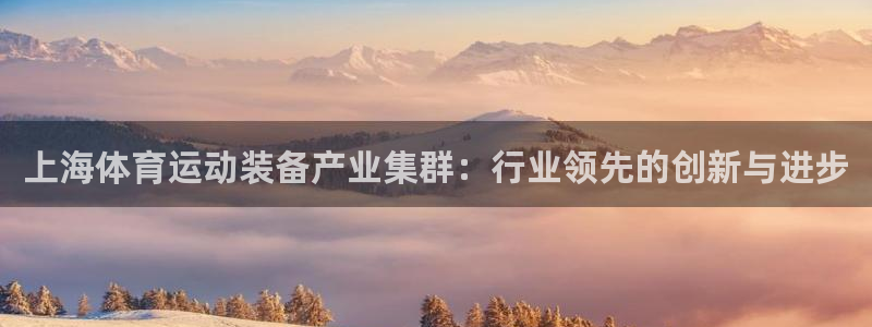 上海体育运动装备产业集群：行业领先的创新与进步