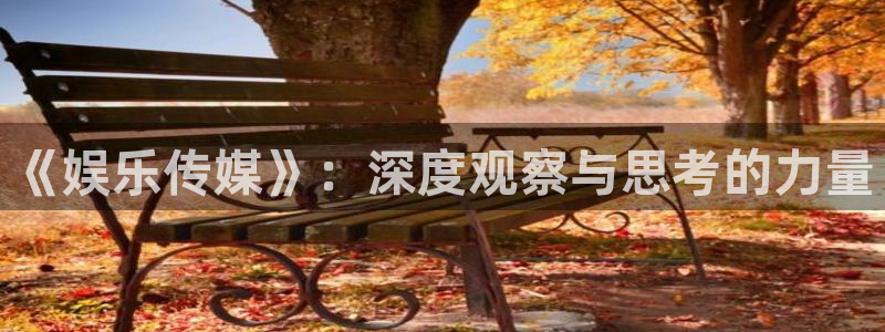 《娱乐传媒》：深度观察与思考的力量