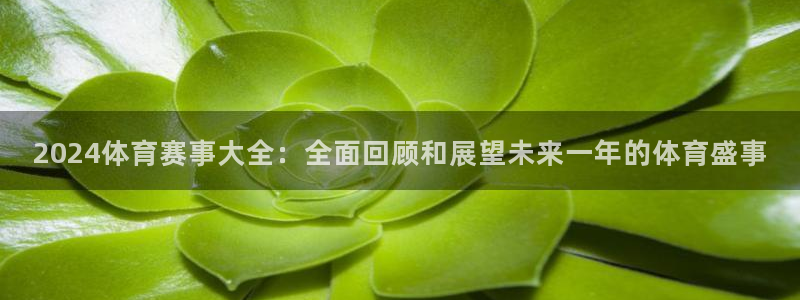 2024体育赛事大全：全面回顾和展望未来一年的体育盛事