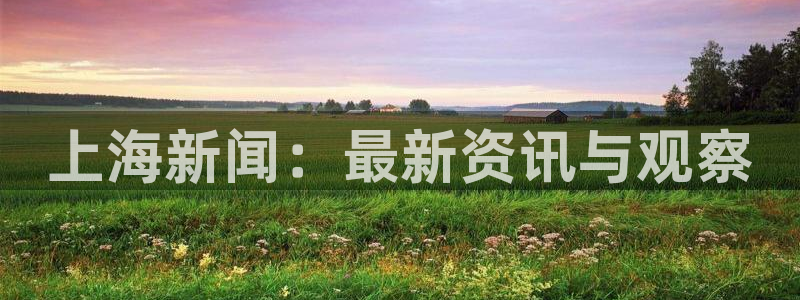 上海新闻：最新资讯与观察