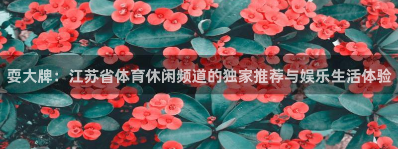 耍大牌：江苏省体育休闲频道的独家推荐与娱乐生活体验