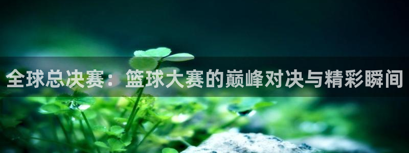 全球总决赛：篮球大赛的巅峰对决与精彩瞬间