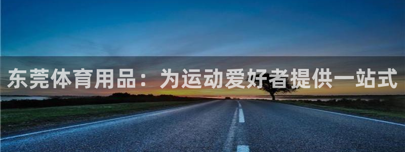 东莞体育用品：为运动爱好者提供一站式