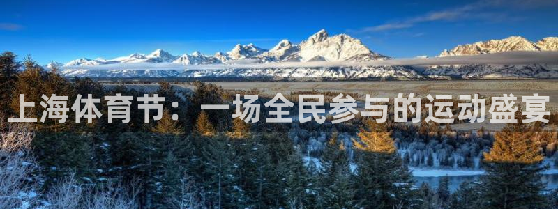 上海体育节：一场全民参与的运动盛宴
