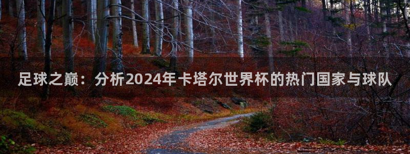 足球之巅：分析2024年卡塔尔世界杯的热门国家与球队