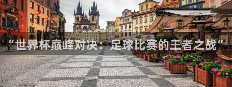 “世界杯巅峰对决：足球比赛的王者之战”