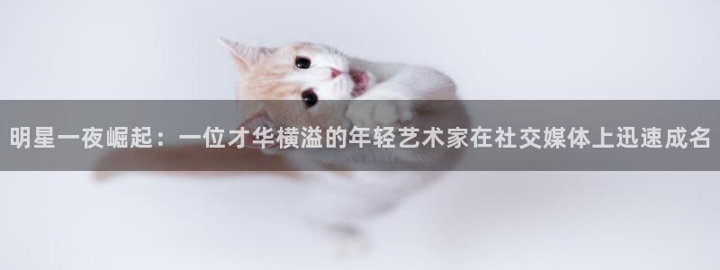 明星一夜崛起：一位才华横溢的年轻艺术家在社交媒体上迅速成名