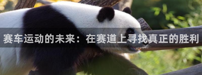 赛车运动的未来：在赛道上寻找真正的胜利
