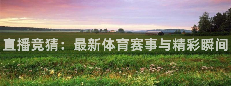 直播竞猜：最新体育赛事与精彩瞬间
