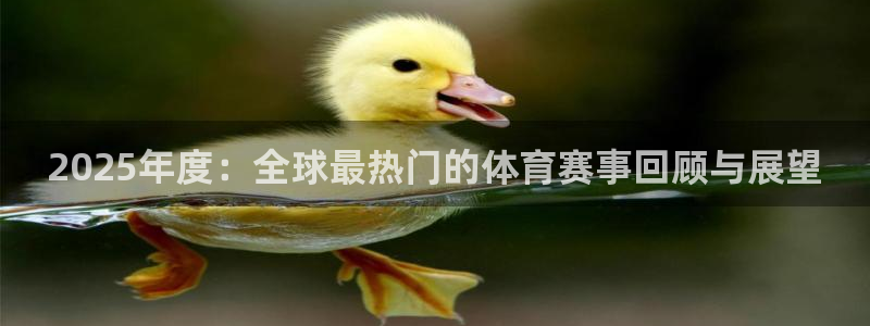 2025年度：全球最热门的体育赛事回顾与展望