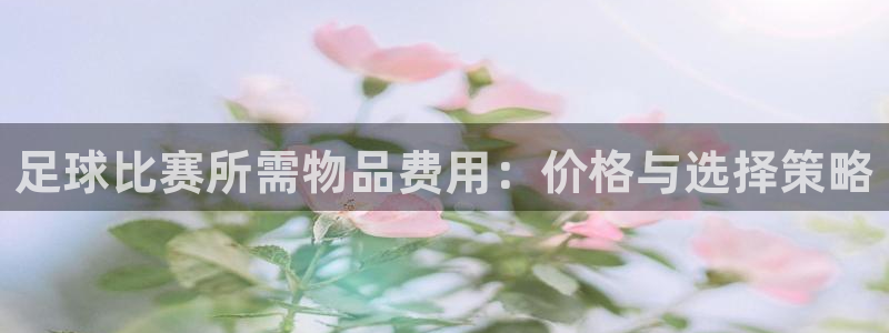 足球比赛所需物品费用：价格与选择策略