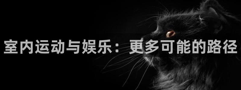 室内运动与娱乐：更多可能的路径