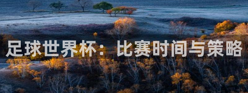 足球世界杯：比赛时间与策略