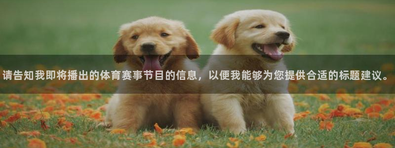 请告知我即将播出的体育赛事节目的信息，以便我能够为您提供合适的标题建议。