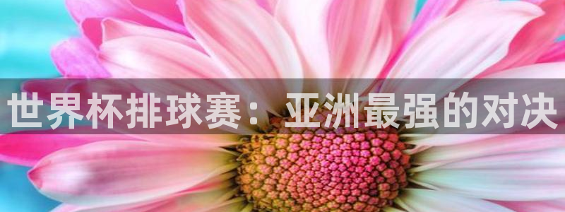 世界杯排球赛：亚洲最强的对决