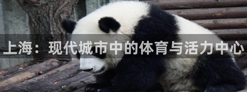上海：现代城市中的体育与活力中心