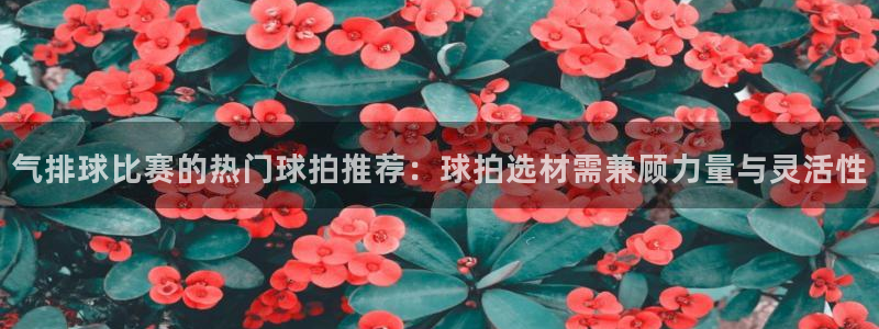 气排球比赛的热门球拍推荐：球拍选材需兼顾力量与灵活性