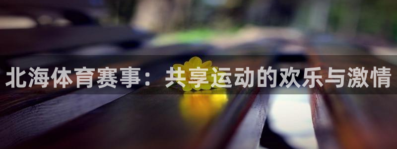 北海体育赛事：共享运动的欢乐与激情