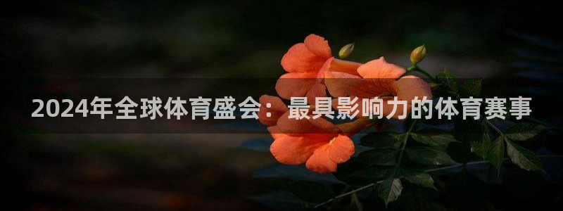 2024年全球体育盛会：最具影响力的体育赛事