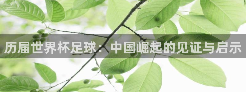 历届世界杯足球：中国崛起的见证与启示