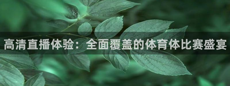 高清直播体验：全面覆盖的体育体比赛盛宴