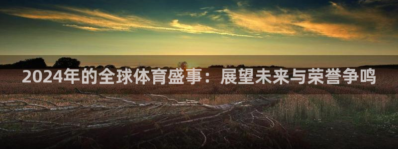 2024年的全球体育盛事：展望未来与荣誉争鸣