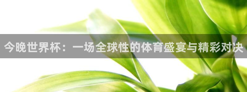 今晚世界杯：一场全球性的体育盛宴与精彩对决