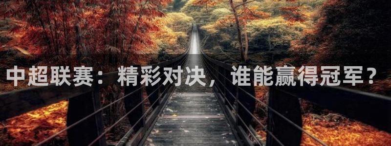 中超联赛：精彩对决，谁能赢得冠军？
