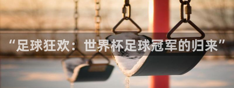 “足球狂欢：世界杯足球冠军的归来”