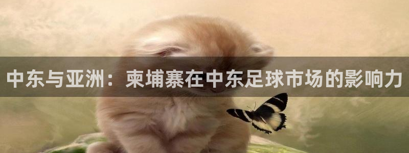 中东与亚洲：柬埔寨在中东足球市场的影响力