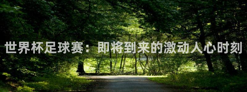 世界杯足球赛：即将到来的激动人心时刻