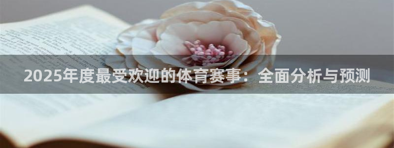 2025年度最受欢迎的体育赛事：全面分析与预测