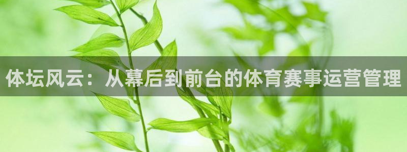 体坛风云：从幕后到前台的体育赛事运营管理