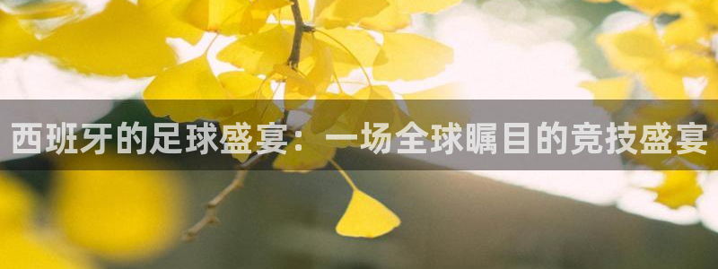 西班牙的足球盛宴：一场全球瞩目的竞技盛宴