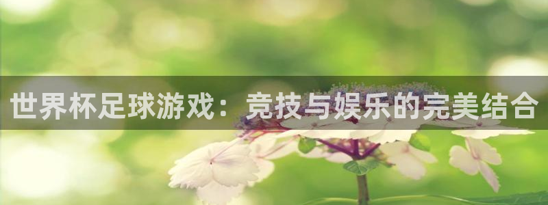 世界杯足球游戏：竞技与娱乐的完美结合