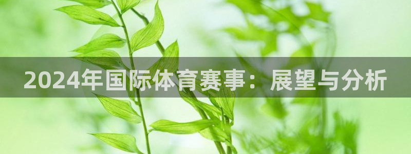 2024年国际体育赛事：展望与分析