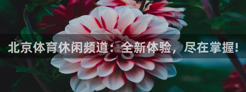 北京体育休闲频道：全新体验，尽在掌握!